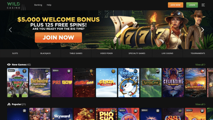 Wild Casino Best Fast Payout Online Casino Overall