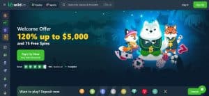 bitcoin casino instant withdrawal at Wild.io list of games